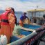 Lancha de Servicios Generales “Puerto Montt” fiscalizó área marina protegida