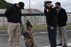 Ejemplar canino “Canú” pasa a retiro de la Institución tras 8 años de servicio Ejemplar canino “Canú” pasa a retiro de la Institución tras 8 años de servicio