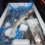 Armada y SERNAPESCA incautan camión con más de 10 toneladas de merluza austral