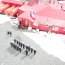 La Base Naval Antártica Arturo Prat y Capitanía de Puerto Soberanía conmemoraron el 53° aniversario del rescate aeronaval en Isla Decepción