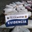 Tres toneladas de alga pelillo fueron incautadas en Reserva Marina Putemún