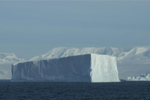 La importancia del constante de los hielos marinos en la Península Antártica