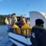 Armada y Sernapesca incautaron 9 toneladas de alga Luga Roja