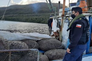 Armada y Sernapesca incautaron 9 toneladas de alga Luga Roja Armada y Sernapesca incautaron 9 toneladas de alga Luga Roja