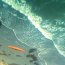 Operativo de la Armada recupera cuerpo de kayakista desaparecido en sector Seno Skyring