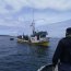 En dos procedimientos se incauta más de una tonelada de Luga Roja en el área de Aysén