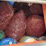 En dos procedimientos se incauta más de una tonelada de Luga Roja en el área de Aysén