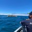 Unidades de superficie y aéreas realizan vigilancia marítima en la Quinta Zona Naval