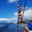 Armada activa dispositivo de asistencia integral para yate estadounidense que recaló en Puerto Williams