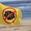 Autoridades implementan bandera de “aglomeraciones” para balnearios de la región de Valparaíso