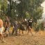 Armada apoya combate contra incendio forestal que afecta a Quilpué
