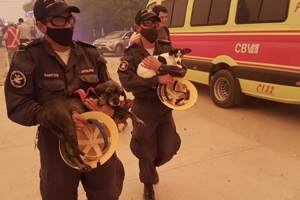 Armada apoya combate contra incendio forestal que afecta a Quilpué Armada apoya combate contra incendio forestal que afecta a Quilpué