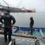 Autoridad Marítima y Sernapesca logran incautar 1.200 kilos de jurel