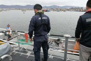 Autoridad Marítima y Sernapesca logran incautar 1.200 kilos de jurel Autoridad Marítima y Sernapesca logran incautar 1.200 kilos de jurel