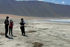 Capitanía de Puerto de Patache realiza fiscalización sanitaria e inspección medioambiental al sur de Iquique Capitanía de Puerto de Patache realiza fiscalización sanitaria e inspección medioambiental al sur de Iquique