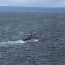 Nadadores de Rescate entrenan en el Estrecho de Magallanes