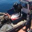 Armada y Sernapesca incautan 1.500 kilos de merluza austral en área de Canal Moraleda