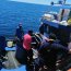 Armada y Sernapesca incautan 1.500 kilos de merluza austral en área de Canal Moraleda