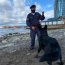 Autoridad Marítima de Punta Arenas recibe al primer perro que ayudará en la lucha antinarcóticos
