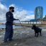Autoridad Marítima de Punta Arenas recibe al primer perro que ayudará en la lucha antinarcóticos