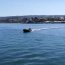 Patrullero “Contramaestre Ortiz” apoyó resguardo del proceso de vacunación ante Covid-19 en Chiloé