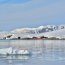 Capitanía de Puerto Bahía Paraíso cumple 25 años ejerciendo soberanía en la Antártica Chilena