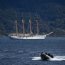 Dotación del Buque Escuela “Esmeralda” realizó visita a Caleta Wulaia
