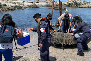 Lancha Misilera “Angamos” apoyó vacunación en zona aislada al norte de Iquique Lancha Misilera “Angamos” apoyó vacunación en zona aislada al norte de Iquique