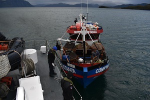 Gobernación Marítima de Puerto Williams efectuó evacuación de tripulantes desde sector Timbales Gobernación Marítima de Puerto Williams efectuó evacuación de tripulantes desde sector Timbales