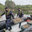 Armada y SERNAPESCA incautaron más de 600 kilos de ostras chilenas en Ancud
