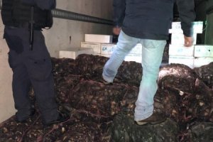 Armada y SERNAPESCA incautan cerca de una tonelada de merluza austral durante fiscalizaciones previas a Semana Santa Armada y SERNAPESCA incautan cerca de una tonelada de merluza austral durante fiscalizaciones previas a Semana Santa