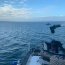 Operativo de búsqueda y salvamento ante desaparición de pescador en Estrecho de Magallanes.