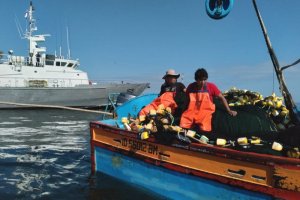 Lancha de Servicio General "Arica" sorprendió embarcación extranjera en faenas de pesca dentro de territorio nacional Lancha de Servicio General "Arica" sorprendió embarcación extranjera en faenas de pesca dentro de territorio nacional