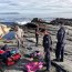 Un total de 45 kilos de locos fueron incautados en el sector de El Tebo