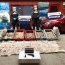 Cerca de 4 mil unidades de loco decomisó la Autoridad Marítima de Puerto Montt
