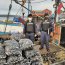  Autoridad Marítima incautó en Castro 245 kilos de choro bajo la talla mínima de extracción  