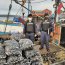 Autoridad Marítima incautó en Castro 245 kilos de choro bajo la talla mínima de extracción