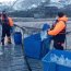 Realizan fiscalización de centros de cultivo en sector de isla Capitán Aracena