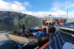 Autoridad Marítima de Puerto Aguirre incautó 150 kilos de Merluza Austral