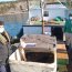 Autoridad Marítima incautó 100 kilos de Pulpo tras patrullajes en Quinchao