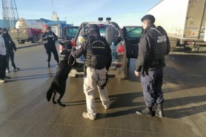 Binomio canino de la Autoridad Marítima de Punta Delgada realizó fiscalización en Primera Angostura