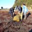 Dotación de la Capitanía de Puerto de Talcahuano participó en operativo de limpieza de playa en el sector “El Morro”