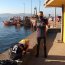  Capitanía de Puerto de Talcahuano brindó seguridad a deportista náutico especialista en triatlón  