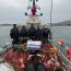 Procedimiento realizado en Bahía Lennox.