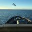 Armada realizó fiscalización pesquera entre el Golfo de Arauco y Puerto Saavedra