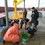 Autoridad Marítima de Maullín incautó más de 300 kilos de almejas