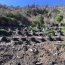 Policía Marítima y Carabineros realizaron operativo en Parque Nacional Fray Jorge