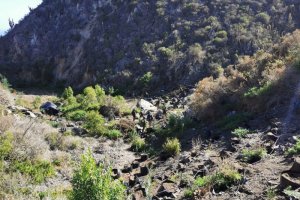 Policía Marítima y Carabineros realizaron operativo en Parque Nacional Fray Jorge