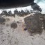 En Islote Pájaros Armada encuentra a seis pescadores desaparecidos