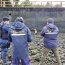 Personal de la Armada y SERNAPESCA realizan rescate a lobo marino en Ancud